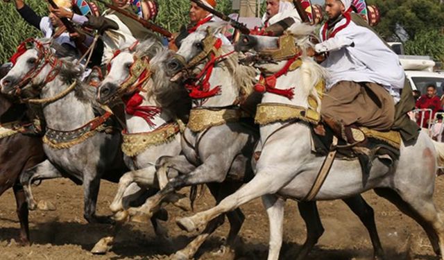 Cezayir'de geleneksel binicilik gösterisi düzenlendi