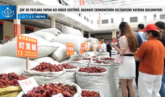 Video: Çin'in güneybatısında patlama yapan acı biber sektörü, 'baharat ekonomisinin' gelişmesine katkıda bulunuyor