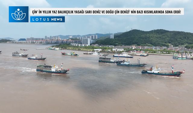 Video: Çin'in yıllık yaz balıkçılık yasağı Sarı Deniz ve Doğu Çin Denizi'nin bazı kısımlarında sona erdi