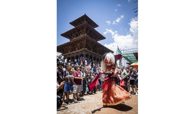 Nepal'in İnek Festivali'nden kareler