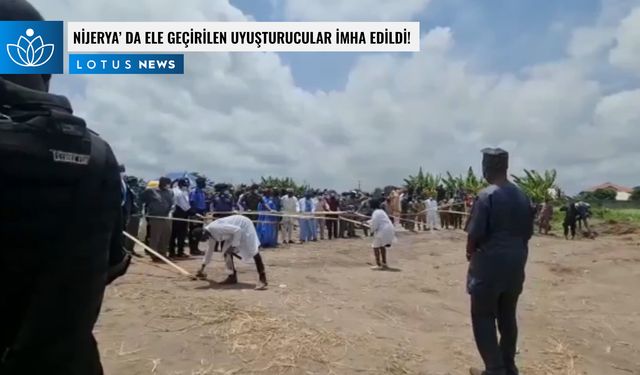 Video: Nijerya, ele geçirilen yarım milyon kilodan fazla uyuşturucuyu imha etti