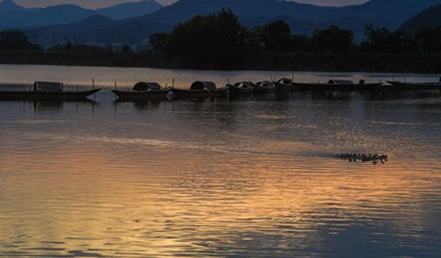 Çin'in Zhejiang eyaleti ortak refahı desteklemek için büyük adımlar atıyor