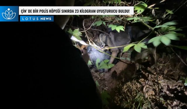 Video: Çin'de bir polis köpeği sınırda 23 kilogram uyuşturucu buldu