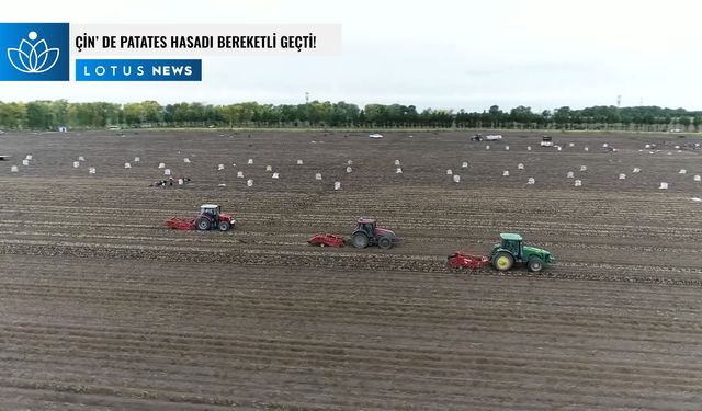 Video: Çin'in kuzeydoğusundaki Heilongjiang eyaletinde patates hasadı bereketli geçti