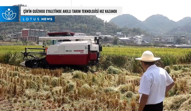 Video: Çin'in Guizhou eyaletinde akıllı tarım teknolojisi hız kazandı