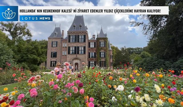 Video: Hollanda'nın Keukenhof Kalesi'ni ziyaret edenler yıldız çiçeklerine hayran kalıyor