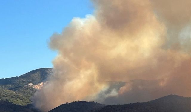 Mersin'deki orman yangını devam ediyor: 30 ev boşaltıldı