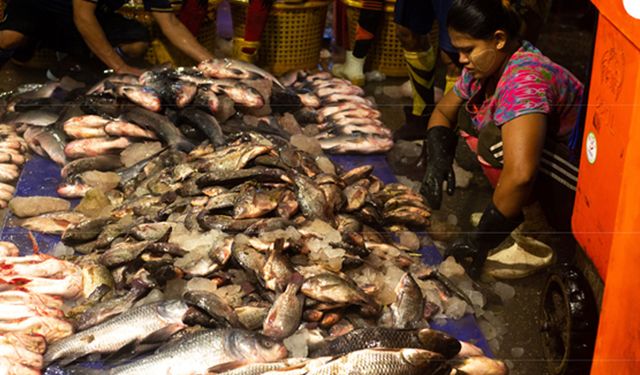 Myanmar'ın deniz ürünleri ihracatı 5 ayda 2 40 milyon doları geçti