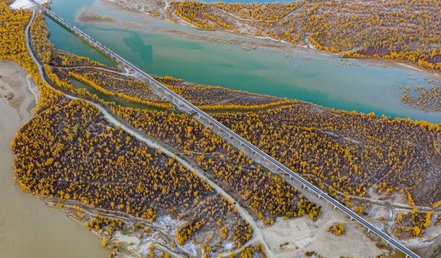 Çin'de Tarim Nehri'nin ana kolunda 80 günlük sel mevsimi sona erdi