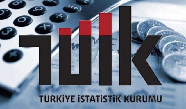 Avrupa İstatistik Ofisi, TÜİK'in çalışmalarını nasıl değerlendiriyor?