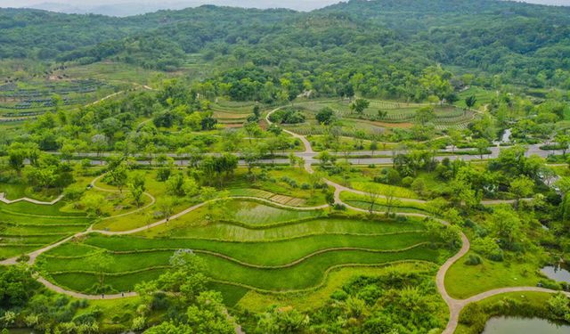 Çin'in Yangtze Nehri'ndeki dünyanın en büyük temiz enerji koridoru 2023'te elektrik üretimini artırdı