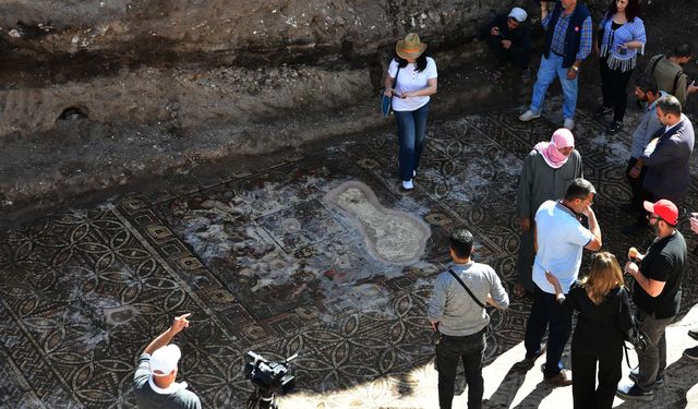 Suriye'nin Humus vilayetinde Roma dönemine ait bir mozaik panel bulundu