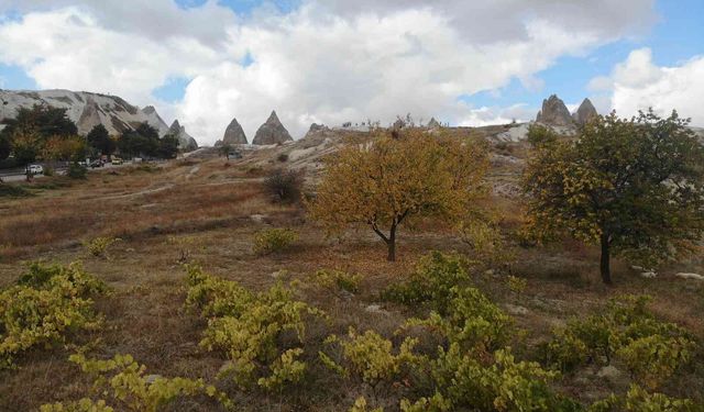 Kapadokya’da sonbahar güzelliği