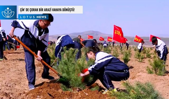 Video: Çin'de çorak bir arazi vahaya dönüştü