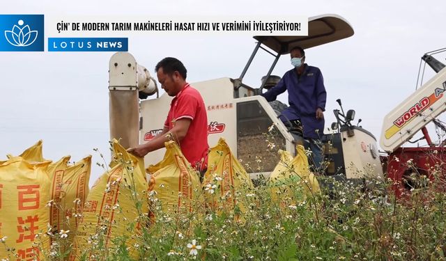 Video: Çin'de modern tarım makineleri hasat hızı ve verimini iyileştiriyor