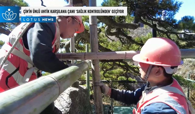 Video: Çin'in ünlü antik Karşılama Çamı 'sağlık kontrolünden' geçiyor