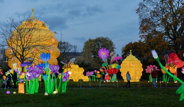 Dublin'de fener gösterisi