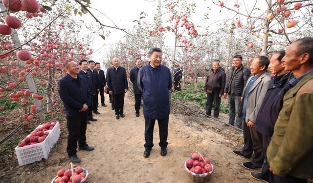 Çin Cumhurbaşkanı Xi'den Yan'an ve Anyang'a denetleme gezisi