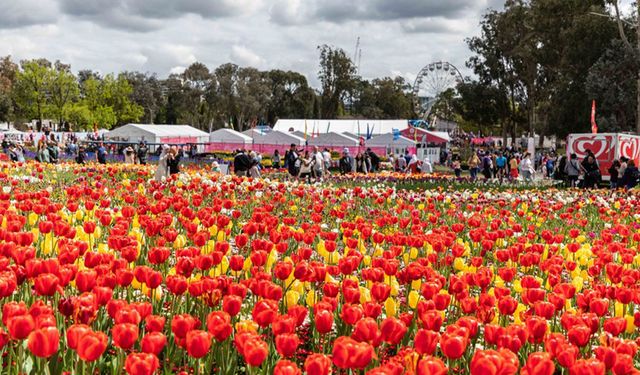 Avustralya Floriade Festivali ile renklendi