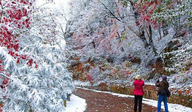 Meteoroloji'den kar yağışı uyarısı!