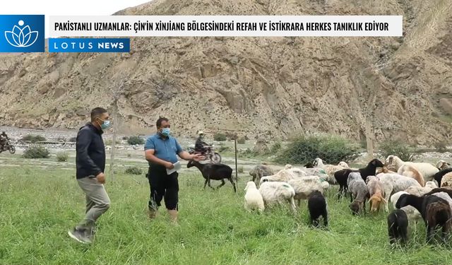 Video: Pakistanlı uzmanlar: Çin'in Xinjiang bölgesindeki refah ve istikrara herkes tanıklık ediyor