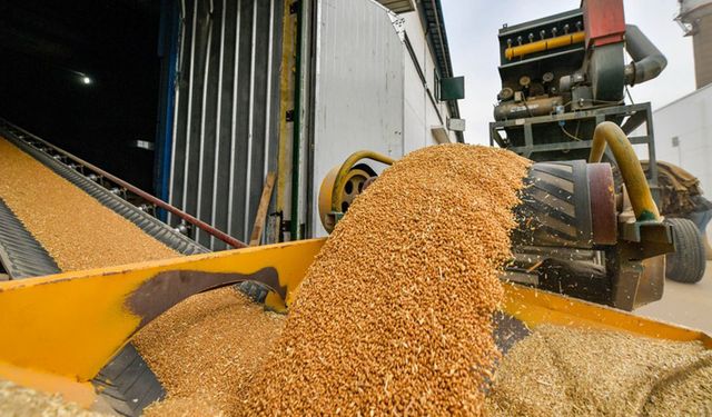 Çin, tahıl kalitesi ve güvenliğini sağlayacak önlemleri açıkladı