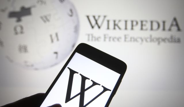 Suudi Arabistan iki Wikipedia yöneticisine hapis cezası verdi
