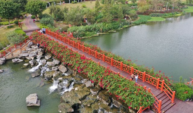 Çin'in güneyindeki bir sulak alan parkından bir manzara