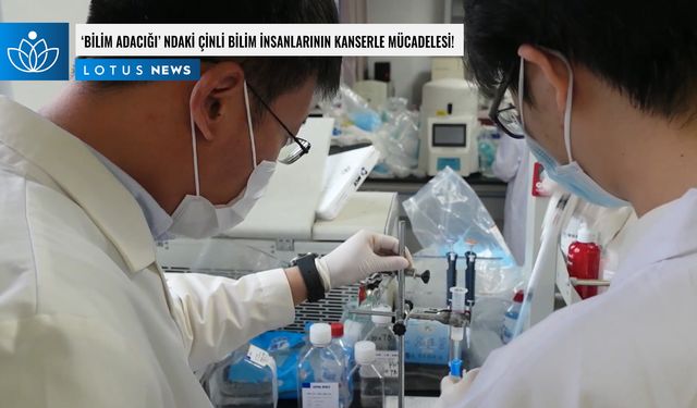 Video: 'Bilim adacığı'ndaki Çinli bilim insanlarının kanserle mücadelesi