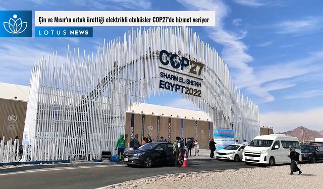 Video: Çin ve Mısır'ın ortak ürettiği elektrikli otobüsler COP27'de hizmet veriyor