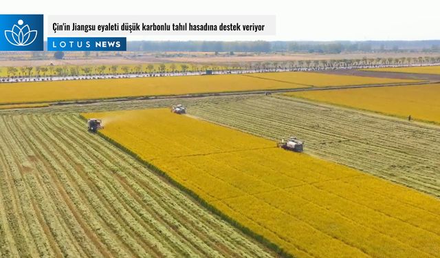 Video: Çin'in Jiangsu eyaleti düşük karbonlu tahıl hasadına destek veriyor