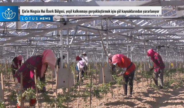 Video: Çin'in Ningxia Hui Özerk Bölgesi, yeşil kalkınmayı gerçekleştirmek için çöl kaynaklarından yararlanıyor