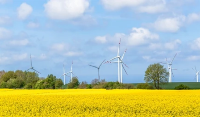 Çin'in yenilenebilir enerji kapasitesi büyümeye devam ediyor