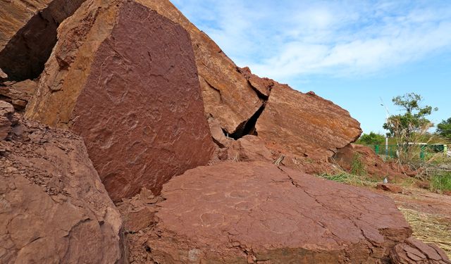 Çin'in doğusunda ender bulunan fosilleşmiş dinozor ayak izleri bulundu