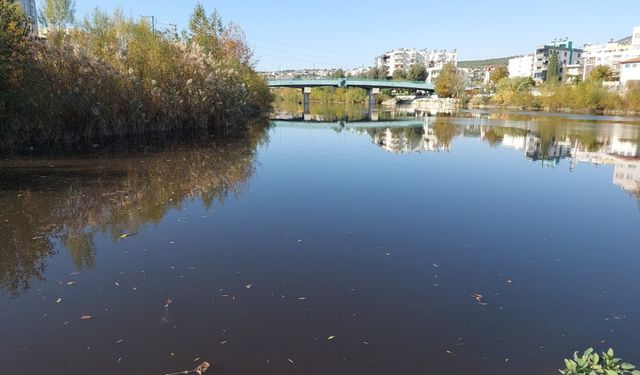 Göksu Nehri'nde su siyaha döndü