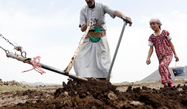 FAO, Dünya Bankası'ndan Yemen'de tarımsal direncin desteklenmesine yönelik bağış aldı