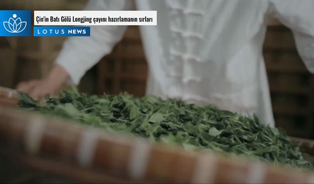 Video: Çin'in Batı Gölü Longjing çayını hazırlamanın sırları