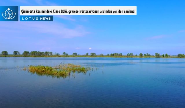 Video: Çin'in orta kesimindeki Xiase Gölü, çevresel restorasyonun ardından yeniden canlandı