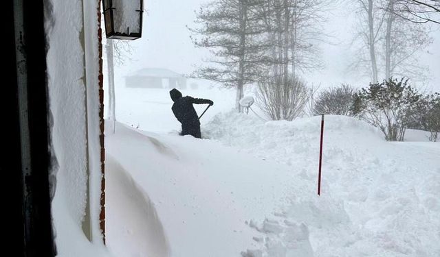 ABD medyası: Kar fırtınası Buffalo'da ırksal ve sınıfsal ayrımları körükledi