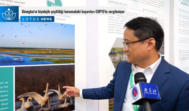 Video: Shanghai'ın biyolojik çeşitliliği korumadaki başarıları COP15'te sergileniyor