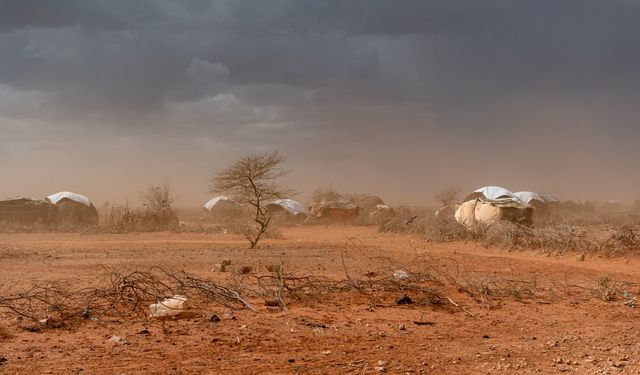 UNHCR: Şiddetli kuraklık nedeniyle 80.000'den fazla Somalili Kenya'ya kaçtı