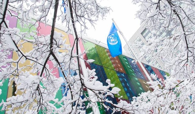 COP15'te Kunming-Montreal Küresel Biyolojik Çeşitlilik Çerçevesi kabul edildi