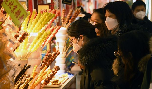 Beijing parklarında, Bahar Festivali boyunca 61 kültürel etkinlik düzenlendi