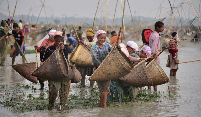 Albüm: Hindistan'ın Assam eyaletinde Bhogali Bihu festivali için toplu halde balık tutuldu