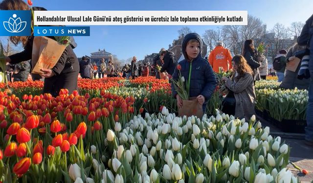 Video: Hollandalılar Ulusal Lale Günü'nü ateş gösterisi ve ücretsiz lale toplama etkinliğiyle kutladı