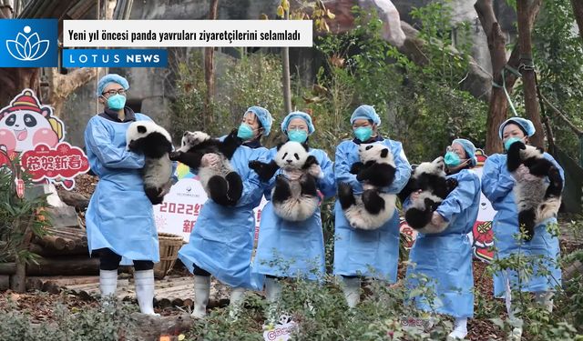 Video: Panda yavruları ziyaretçilerini selamladı