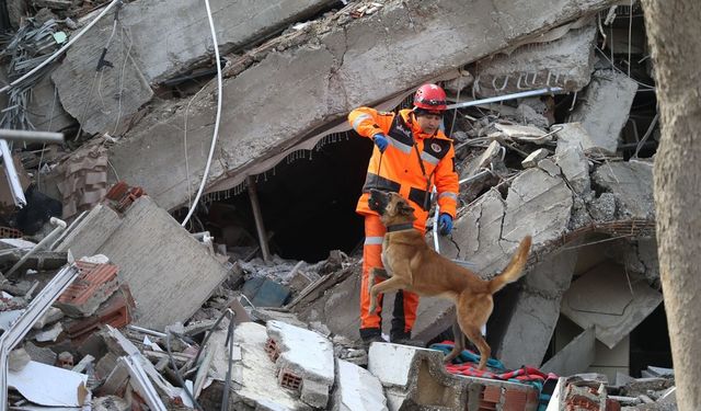 Arama kurtarma çalışmalarının gizli kahramanları: Hayat kurtaran köpekler