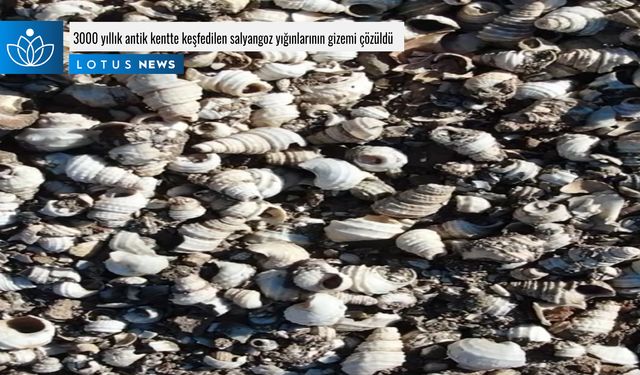 Video: 3000 yıllık antik kentte keşfedilen salyangoz yığınlarının gizemi çözüldü