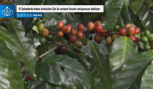 Video: El Salvadorlu kahve üreticileri Çin ile serbest ticaret anlaşmasını bekliyor