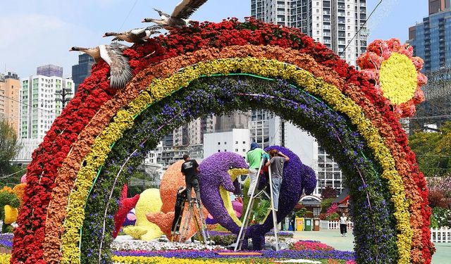 Hong Kong, Çiçek Festivali'ne hazırlanıyor